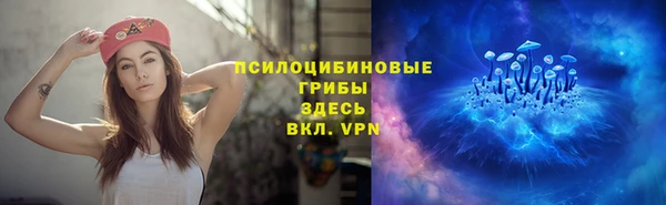 меф Ладушкин