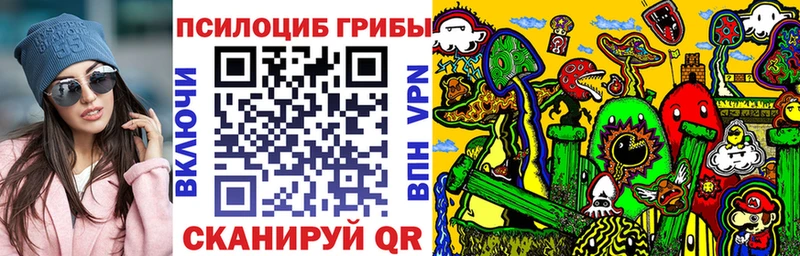 MEGA ссылка  Юхнов  Псилоцибиновые грибы Psilocybe 